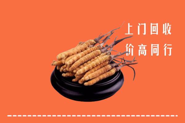高价求购：崇左市宁明回收散虫草