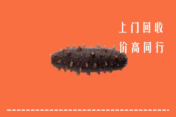 高价求购：崇左市宁明回收海参